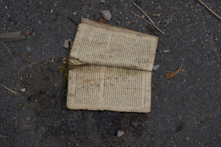 Natural selection and the universe copy