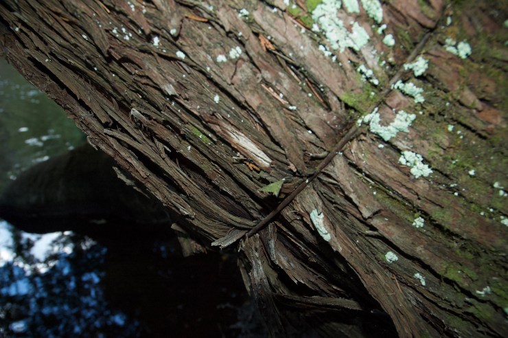 Silent healing series 5