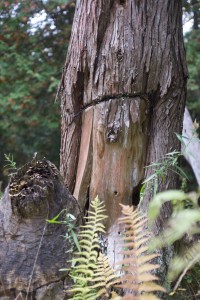 Silent healing series 8